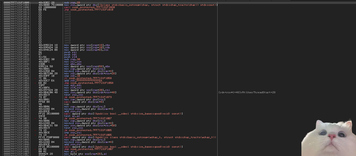 Unpacked Binary